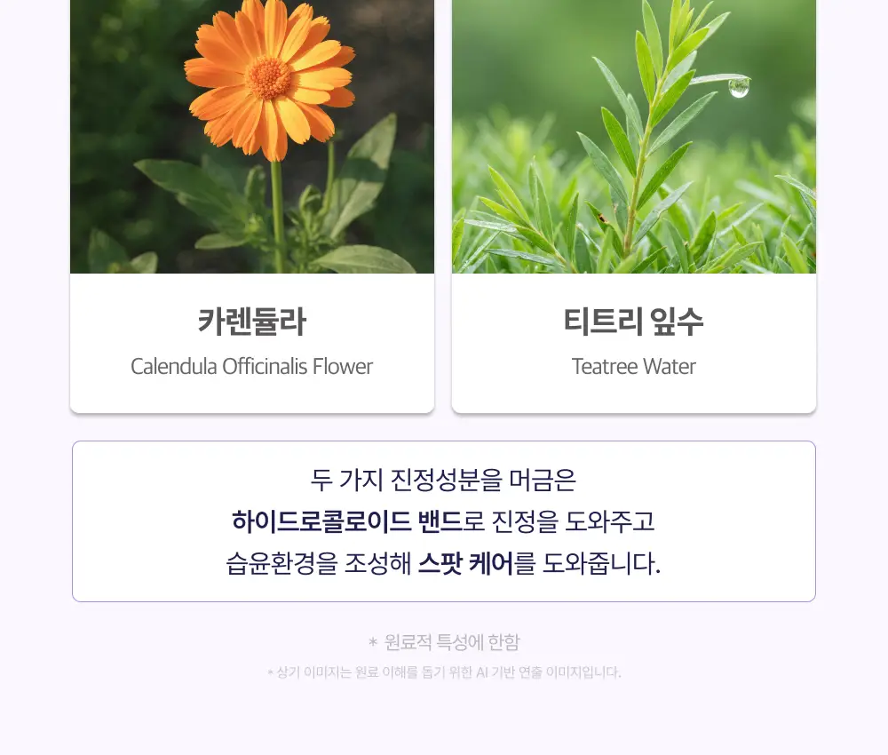 [앰플 단독증정/1등 응급패치] 이지덤 퀵카밍 스팟패치 8매 기획 (+진정앰플) / 트러블패치 상세페이지 23